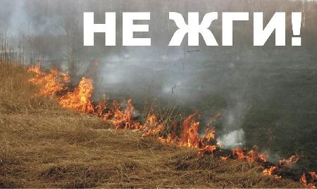 ГУ МЧС России по Орловской области предупреждает:Не сжигайте сухую траву!  Соблюдайте требования пожарной безопасности и в быту и на природе!